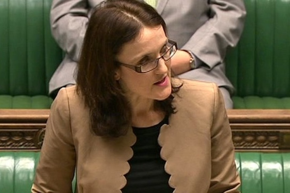 Theresa Villiers