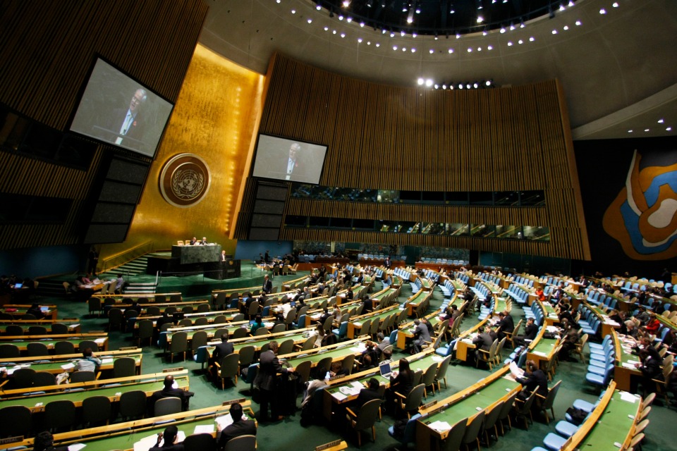 UN General Assembly