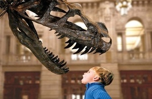 Dinosaur and boy