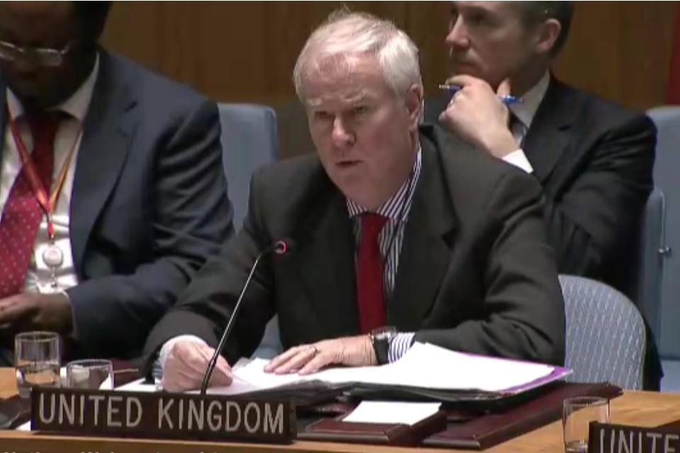 Ambassador Lyall Grant