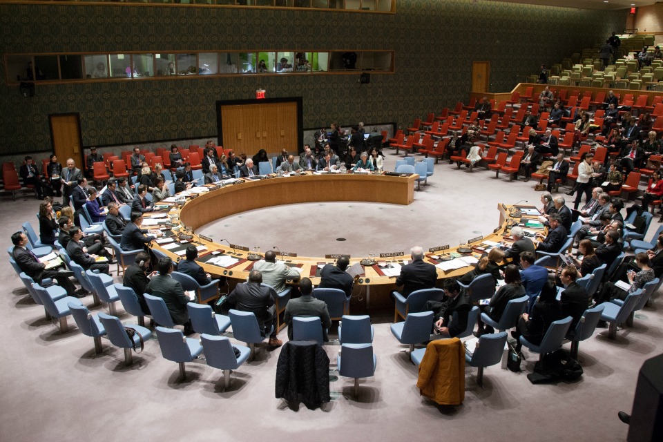 UN Security Council