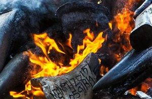 Rhino horns and ivory destroyed