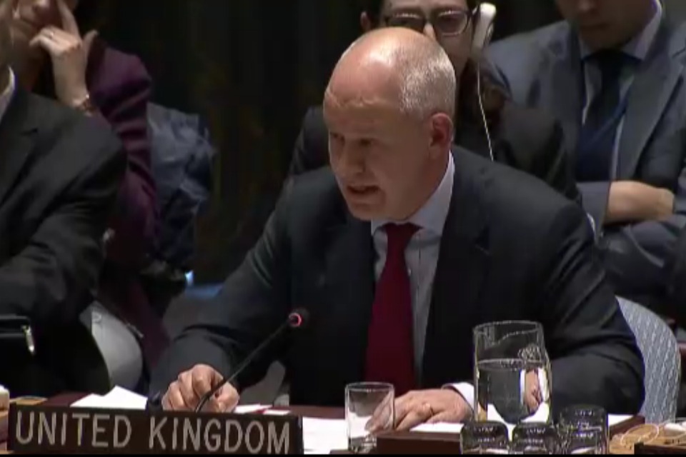 Peter Wilson in UNSC