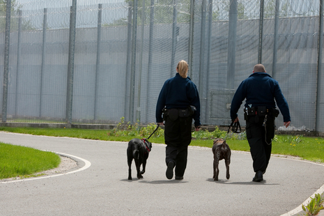 Prison officers with dogs