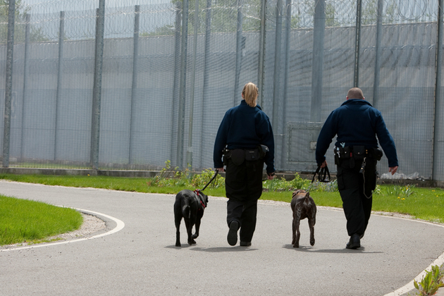 Prison officers with dogs