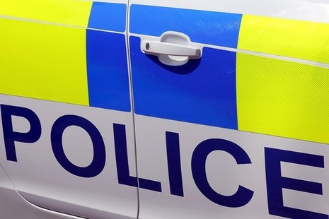 Police car door