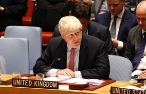 Foreign Secretary at UNSC