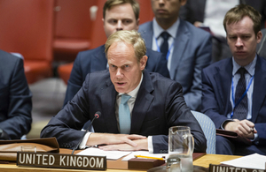 UK Ambassador to UN