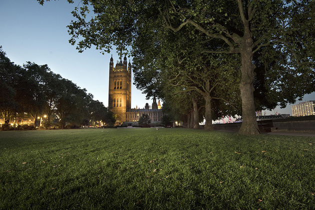 View of the Palace of Westminster from Victoria Tower Gardens ©Malcolm Reading Consultants & Emily Whitfield-Wicks
