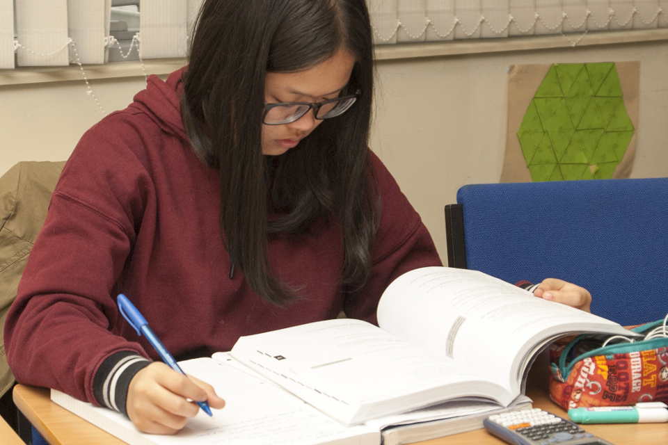 female learner studying
