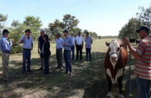 The experts visited a ranch in the Paraguayan Chaco