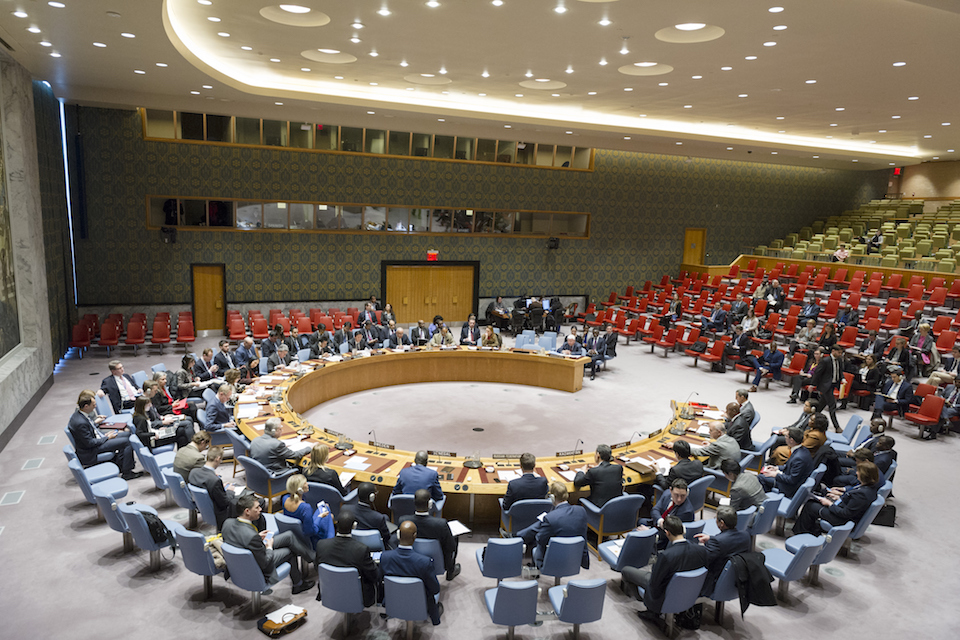 Security Council