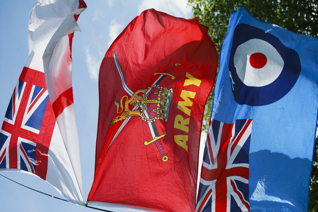 Tri-service flags