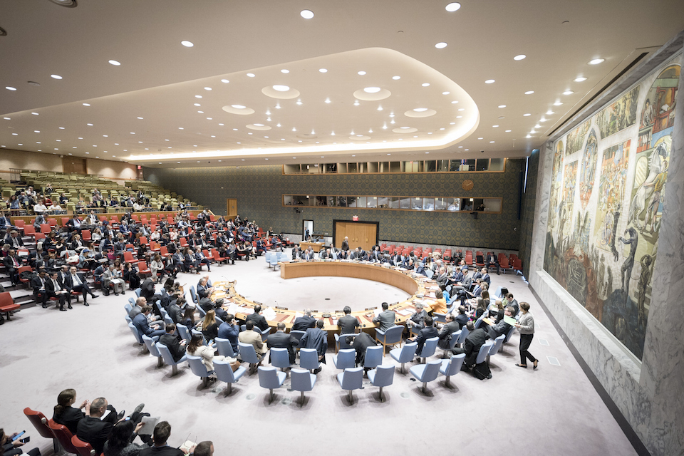 UN Security Council