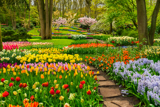 May flowers.