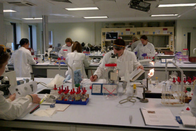 Students working at the laboratory