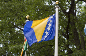 Bosnis and Herzegovina flag