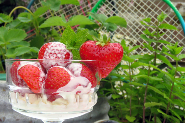 strawberries and cream