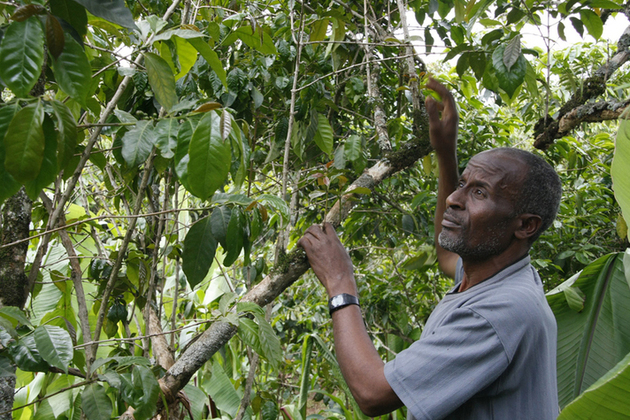 Picture: Pete Lewis/DFID