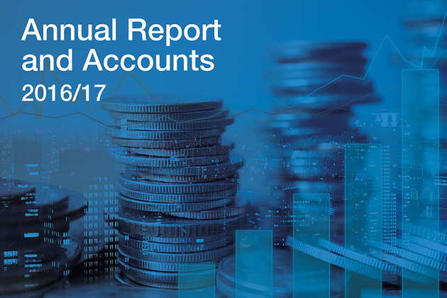 generic annual report image