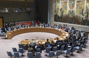 UN Security Council