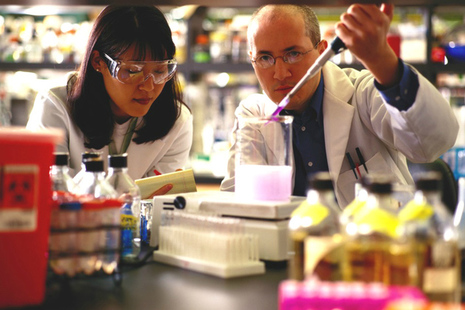 Male and female technicians performing a scientific experiment in a lab.