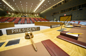 UN Security Council