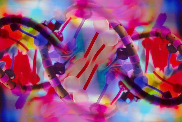 DNA