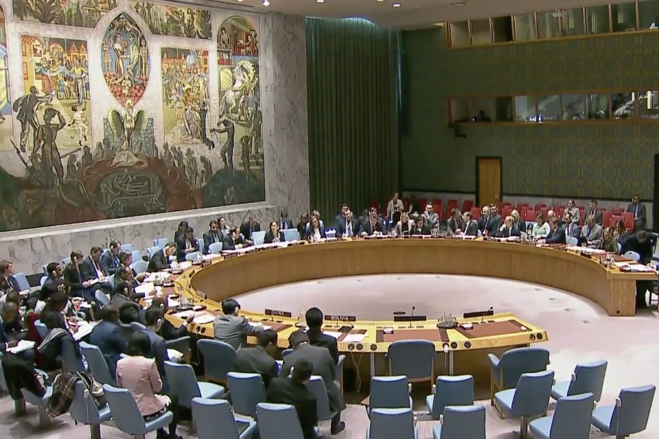 UN Security Council