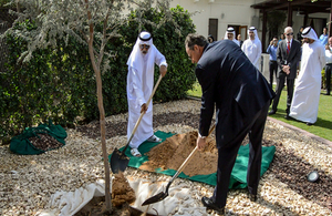 Zayed Tree