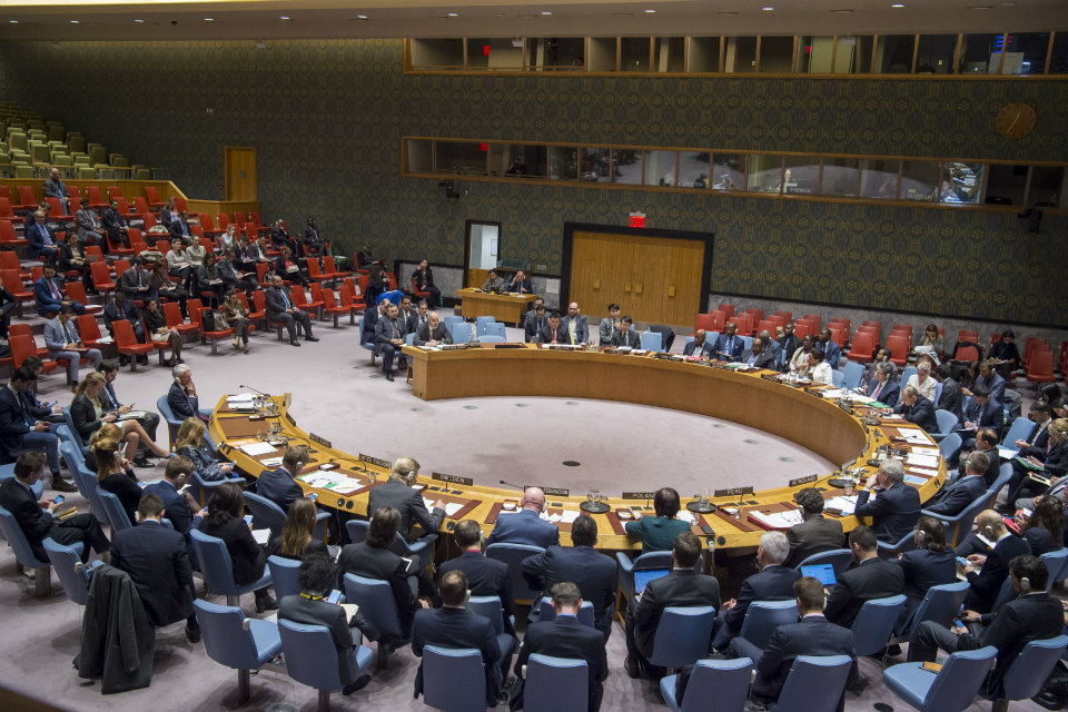 UN Security Council (UN Photo)