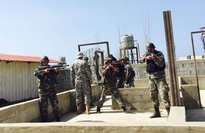 The Lebanese Army during a training session