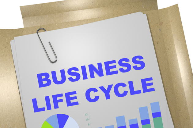 Paper report showing title Business Lifecycle