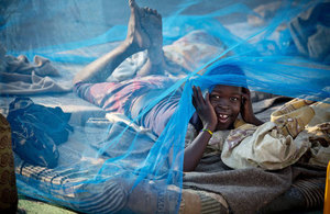 mosquito net