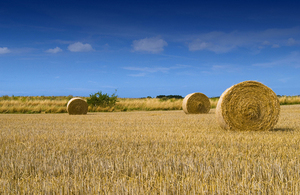 three round hay bales in a field with a blue sky