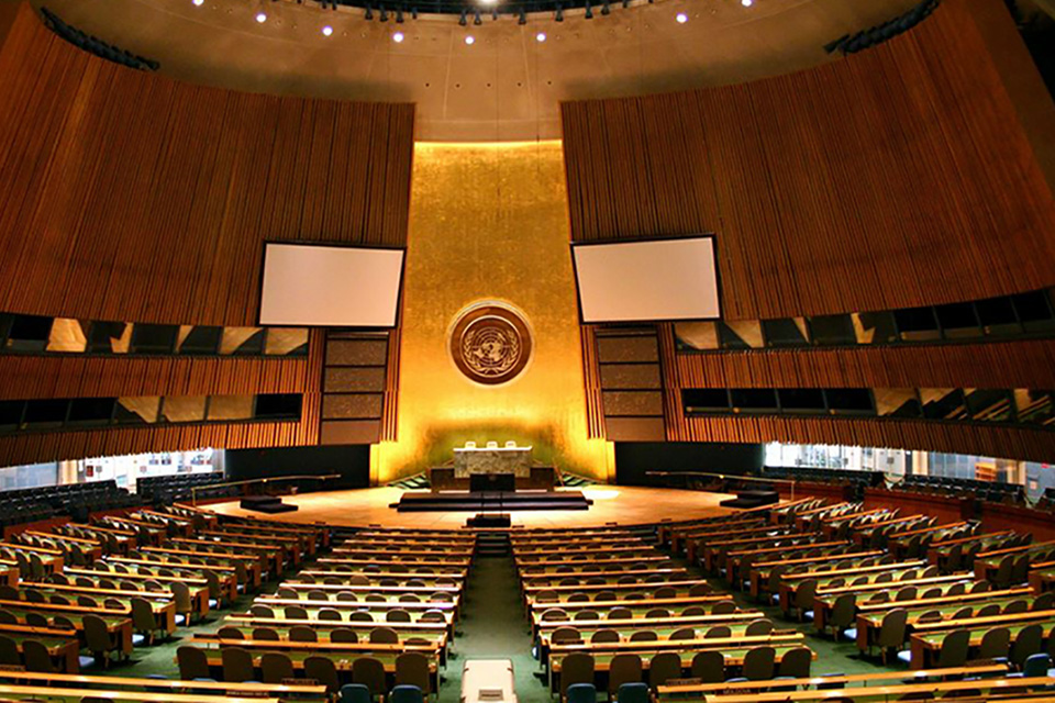 UN Security Council