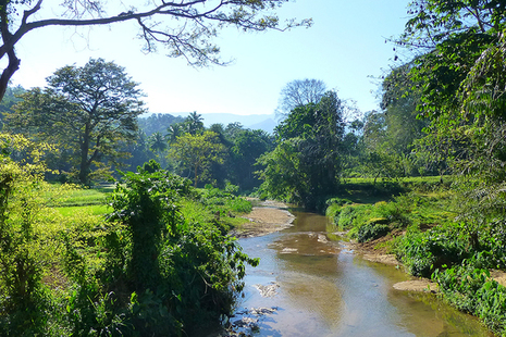 sri lanka rural bridges