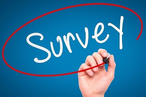GAD client survey results 2017-18