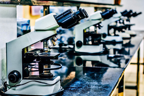 Microscopes lined up on a laboratory bench