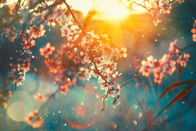 Spring landscape