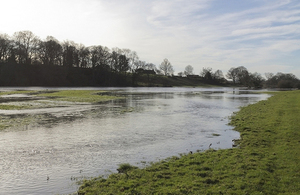 Meadow with flooded land