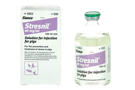 Stresnil 40 mg/ml Solution for Injection for Pigs
