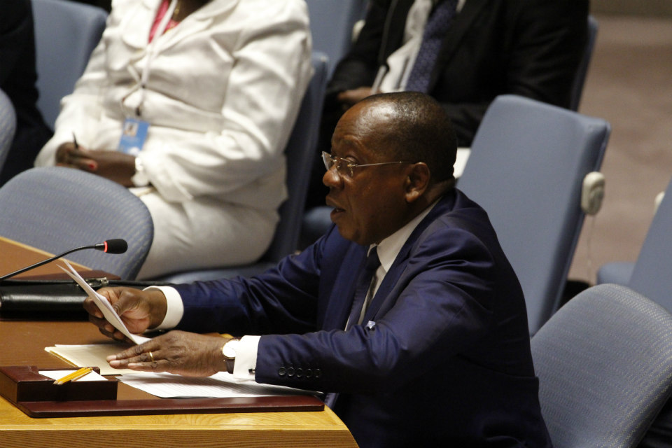 UN Security Council briefing on UNOCA