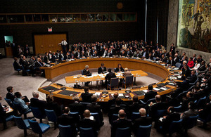 United Nations Security Council