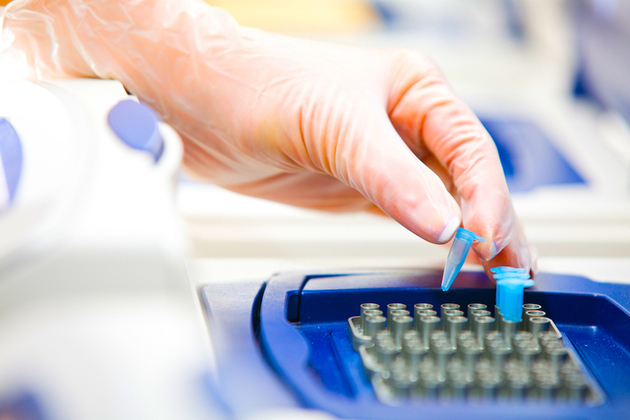 Gloved hand in DNA laboratory.