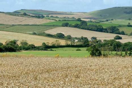 farm country