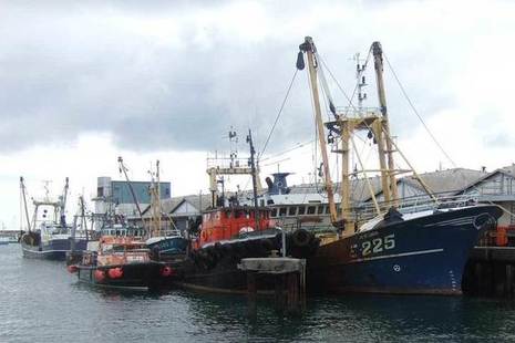Fishing boats in port