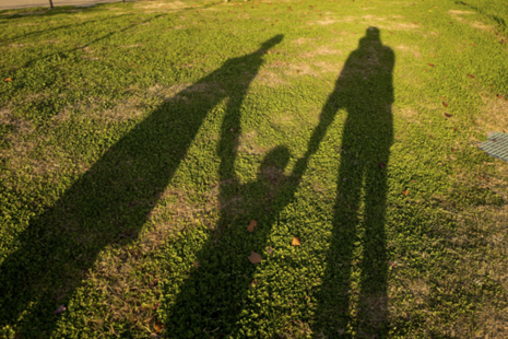 Charity Commission safeguarding update