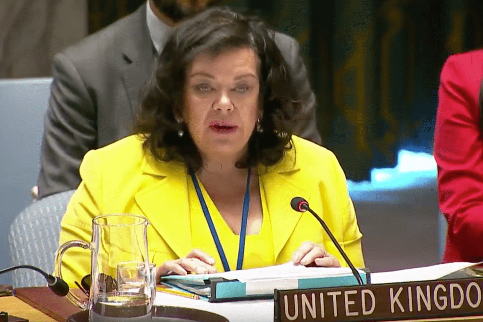 Ambassador Karen Pierce