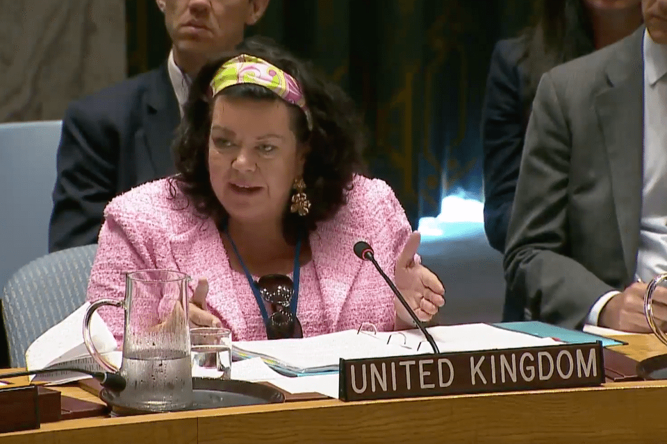 Ambassador Karen Pierce